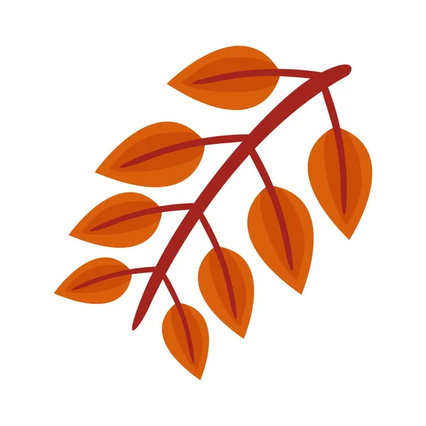 Autum pinnate leaf flat style icon — Stockový vektor