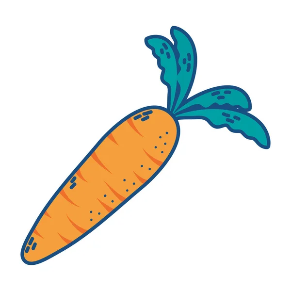 Tuore porkkana vihannes eristetty kuvake — vektorikuva