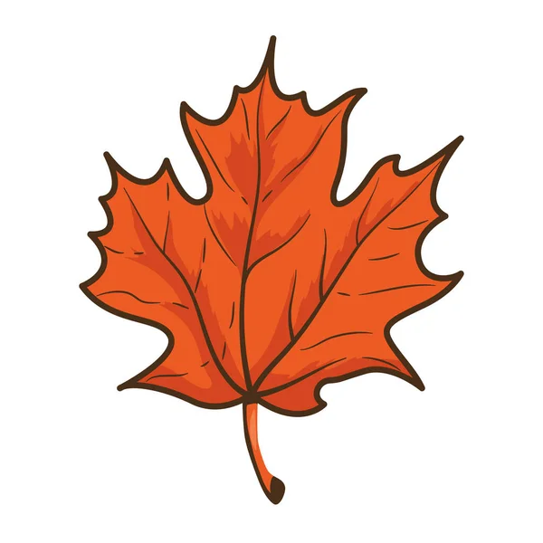 Feuille d'érable d'automne icône nature — Image vectorielle