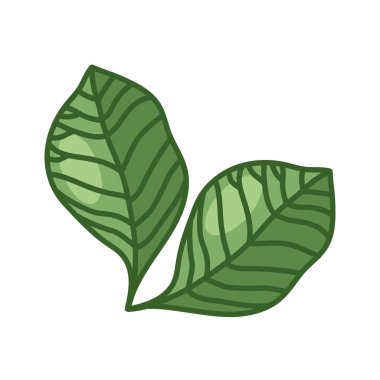 iki yaprak çizgisi ve biçim ikonu vektör tasarımını doldur