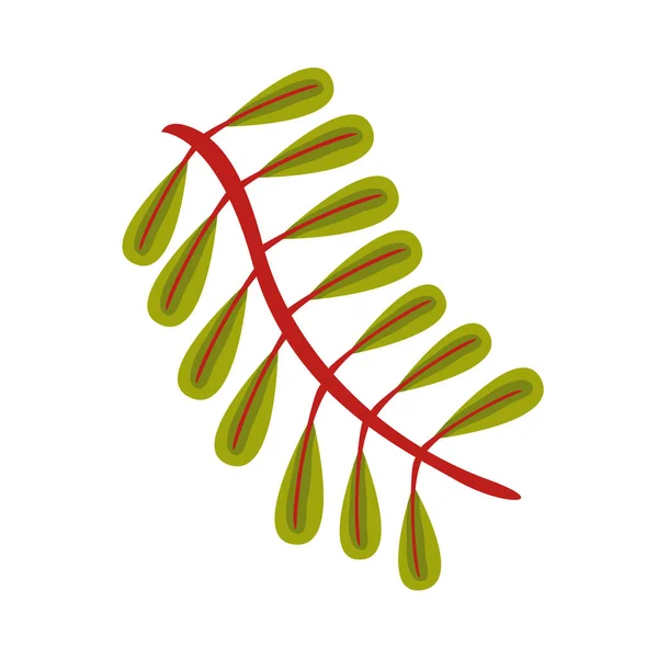 Otum pinnate yaprak düz biçim simgesi — Stok Vektör