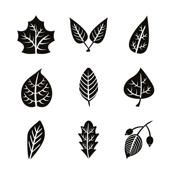 Bundle of nine autumn leaves silhouette style icons — Stock Vector
