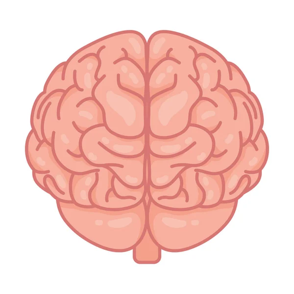 Cerebro humano salud mental icono de atención — Vector de stock