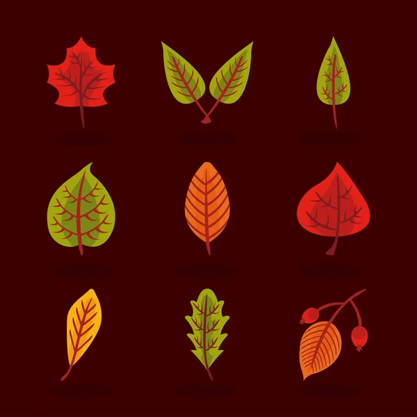 Paquet de neuf feuilles d'automne icônes de style plat — Image vectorielle