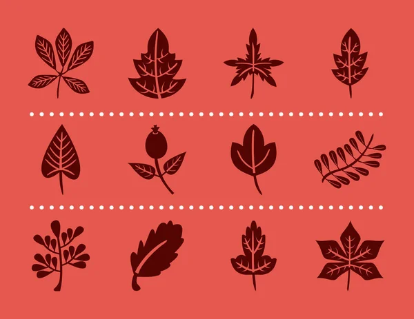 Bundle of twelve autumn leaves silhouette style icons — Stock Vector