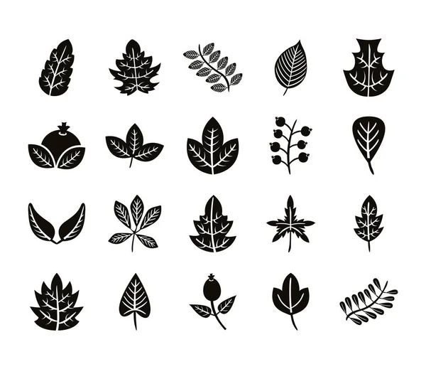 Paquete de veinte hojas de otoño iconos de estilo silueta — Archivo Imágenes Vectoriales