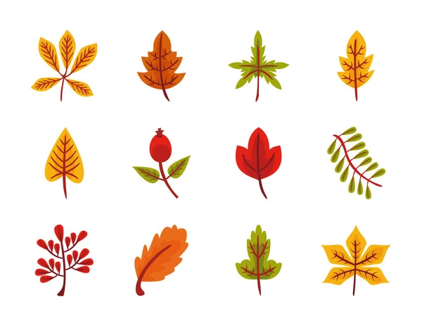 Paquet de douze feuilles d'automne icônes de style plat — Image vectorielle