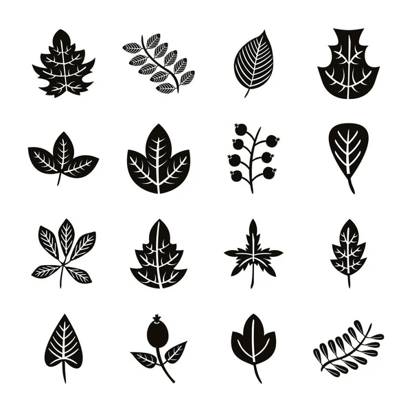 Paquete de dieciséis hojas de otoño iconos de estilo silueta — Vector de stock