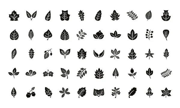 Paquete de cincuenta hojas de otoño iconos de estilo silueta — Archivo Imágenes Vectoriales
