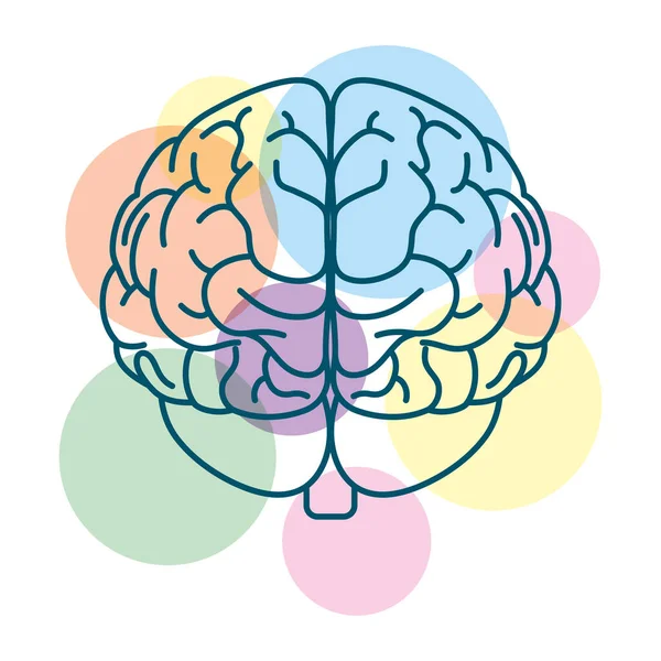 Cerebro humano con colores esferas salud mental icono de la atención — Vector de stock