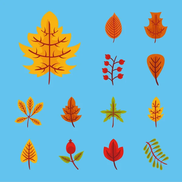 Paquete de dieciséis hojas de otoño iconos de estilo plano — Vector de stock