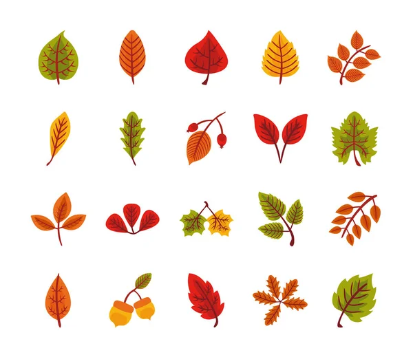 Bundle of twenty autumn leaves flat style in cream background — Stock Vector