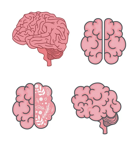 Design de vetor de conjunto de ícone cerebral —  Vetores de Stock