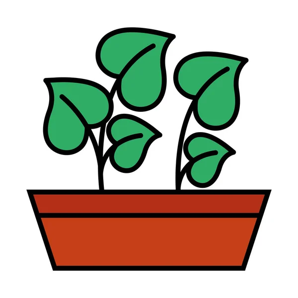 Pflanzen innerhalb der Topflinie pflanzen und Stil-Icon-Vektor-Design ausfüllen — Stockvektor