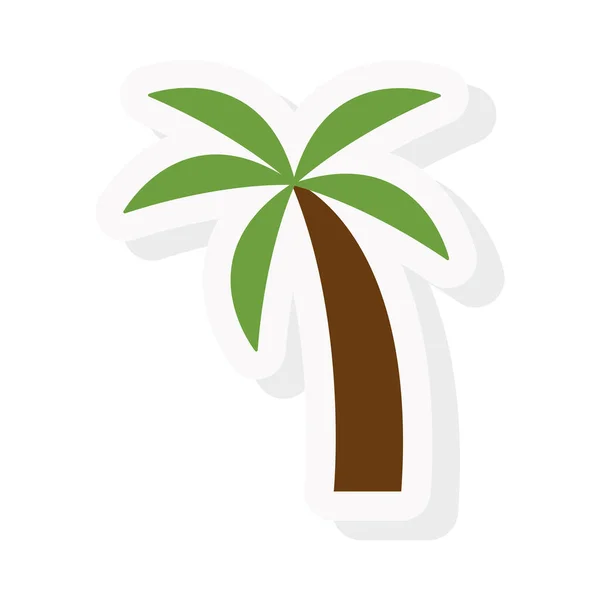 Palm tree sticker and flat style icon vector design — Stock Vector