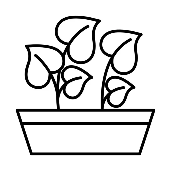 Plantas de jardinería dentro de la línea de pote icono de estilo diseño vectorial — Vector de stock