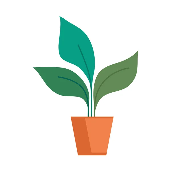 Plant in pot vector ontwerp — Stockvector