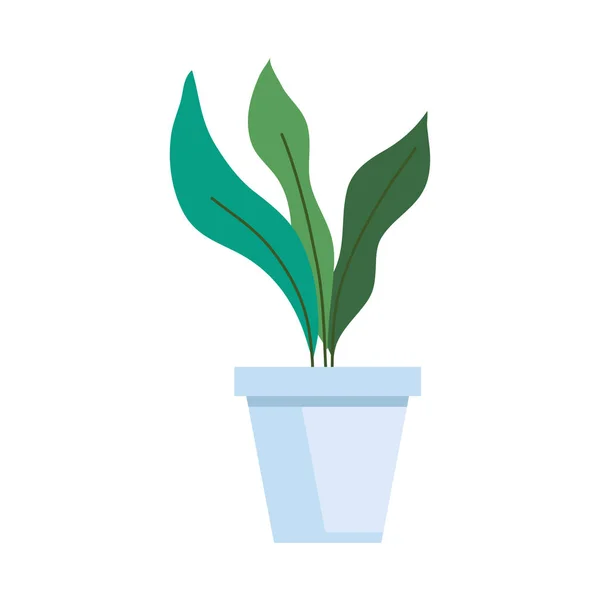 Plant in pot vector ontwerp — Stockvector