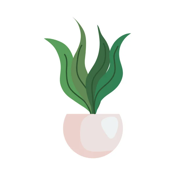 Plant inside pot vector design — Stock Vector