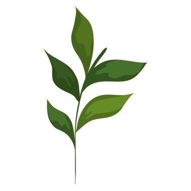 Simge izole edilmiş vektör tasarımı bırakır