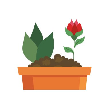 saksı vektör tasarımında bitki ve çiçek