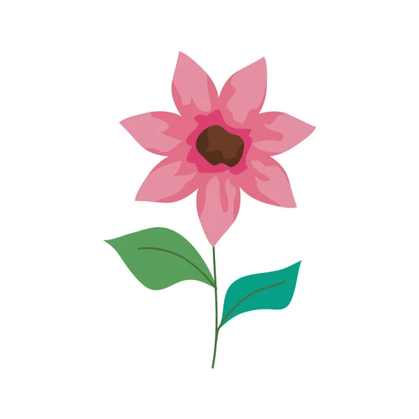 Isolerad blomma ikon vektor design — Stock vektor