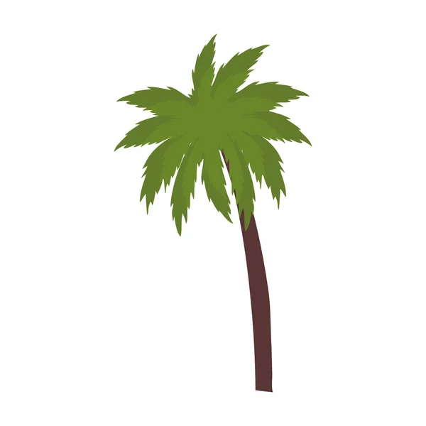 Geïsoleerde palmboomvector ontwerp — Stockvector