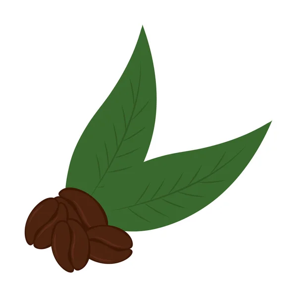 Kaffeebohnen mit Blättern isoliertes Vektordesign — Stockvektor