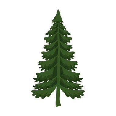 İzole edilmiş çam ağacı vektör tasarımı