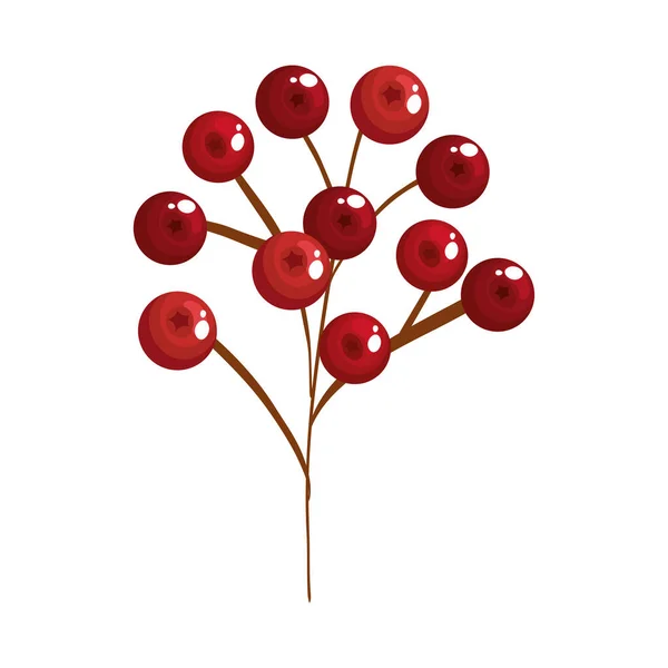 Frohe Weihnachten Beeren Vektor-Design — Stockvektor