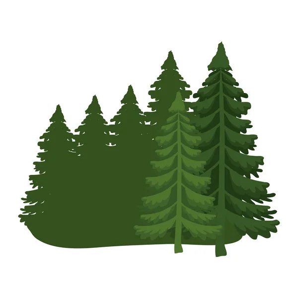 Pine trees icons vector design — Stock Vector