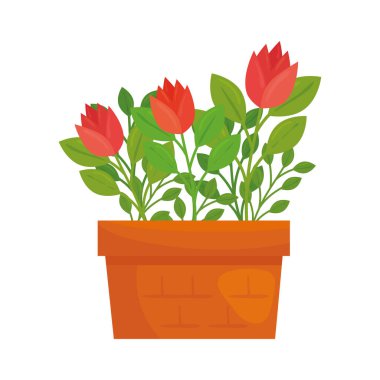 saksı vektör tasarımı içindeki çiçekler