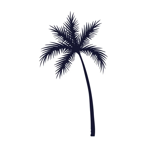 Palmera silueta vector diseño — Vector de stock