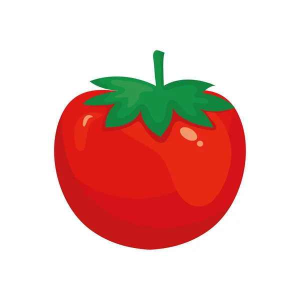 Tomate vegetal icono vector de diseño — Vector de stock