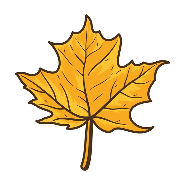 Otoño arce hoja naturaleza icono — Vector de stock