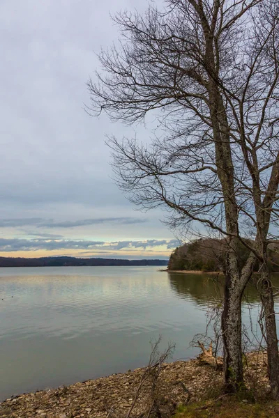 Плотина и зимние деревья в ясный день — стоковое фото