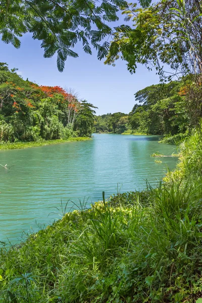 Tropical Jungle and River in Jamaica — Stock Photo, Image