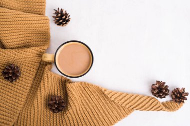 Örme şal, fincan kahve ve beyaz arka plan üzerinde koni