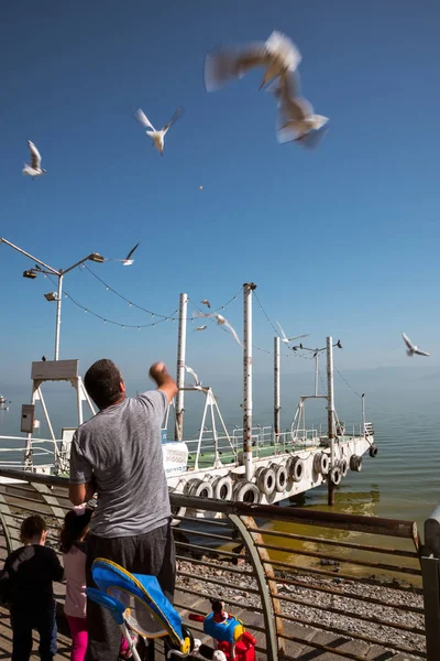 TIBERIAS, ISRAEL, TIBERIAS 03 DE MARZO DE 2018: Alimentación de las gaviotas por turis —  Fotos de Stock