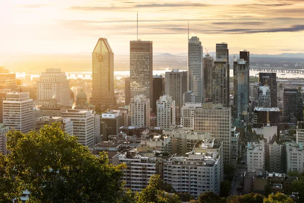 Монреаль Skyline Рано Вранці Від Mont Royal Park Канада — стокове фото