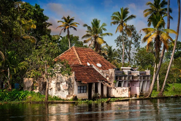 Hus i jungelen i Kerala – stockfoto