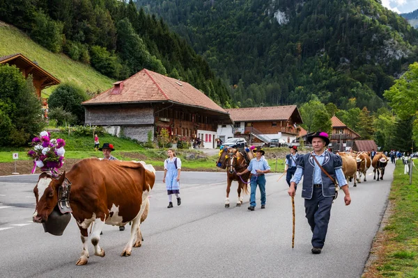 Événement de transhumance à Charmey — Photo