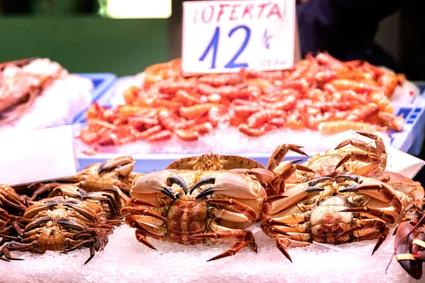 Proef zeevruchten op de markt — Stockfoto