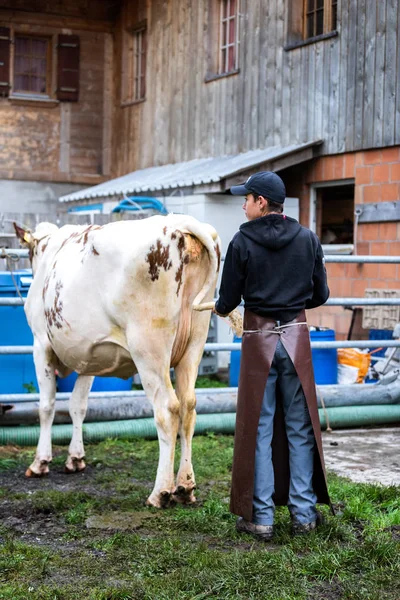 Ackerland in der Schweiz — Stockfoto