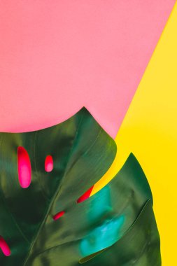 Tropikal orman palm monstera parlak sarı ve pembe kağıt arka plan üzerinde bırakır. Yaz yaratıcı düz metin için kavram şablon koymak