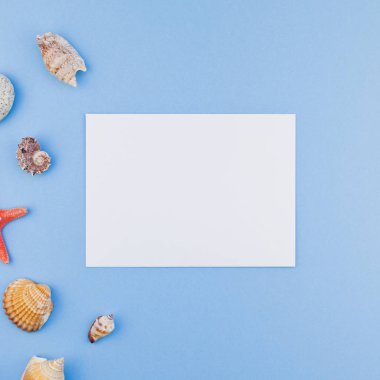 Yaratıcı kare düz yaz seyahat tatil kavramı yatıyordu. Deniz kabuklarını ve denizyıldızı en iyi görünümünü kartpostal pastel mavi zemin üzerine kadar alay ve alanı en az tarzı, metin için şablon kopyalama