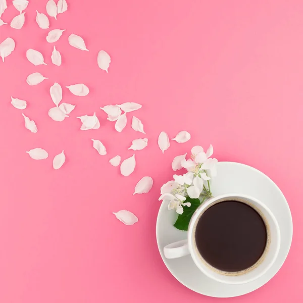 Creative flat lay concept top view of coffee cup and white apple tree flowers petals on pastel pink square background with copy space in minimal style, template for text