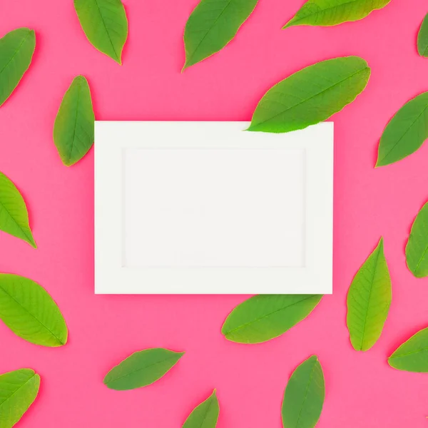 Creative flat lay top view pattern with fresh green leaves on bright pink square background with white frame mock up and copy space in minimal pop art style, template for text