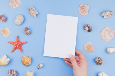 Yaratıcı düz yaz seyahat tatil kavramı yatıyordu. Deniz kabuklarını ve denizyıldızı en iyi görünümünü kartpostal pastel mavi zemin üzerine kadar alay ve alanı en az tarzı, metin için şablon kopyalama