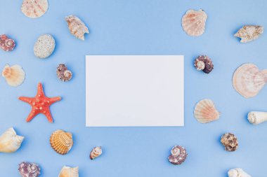 Yaratıcı düz yaz seyahat tatil kavramı yatıyordu. Deniz kabuklarını ve denizyıldızı en iyi görünümünü kartpostal pastel mavi zemin üzerine kadar alay ve alanı en az tarzı, metin için şablon kopyalama